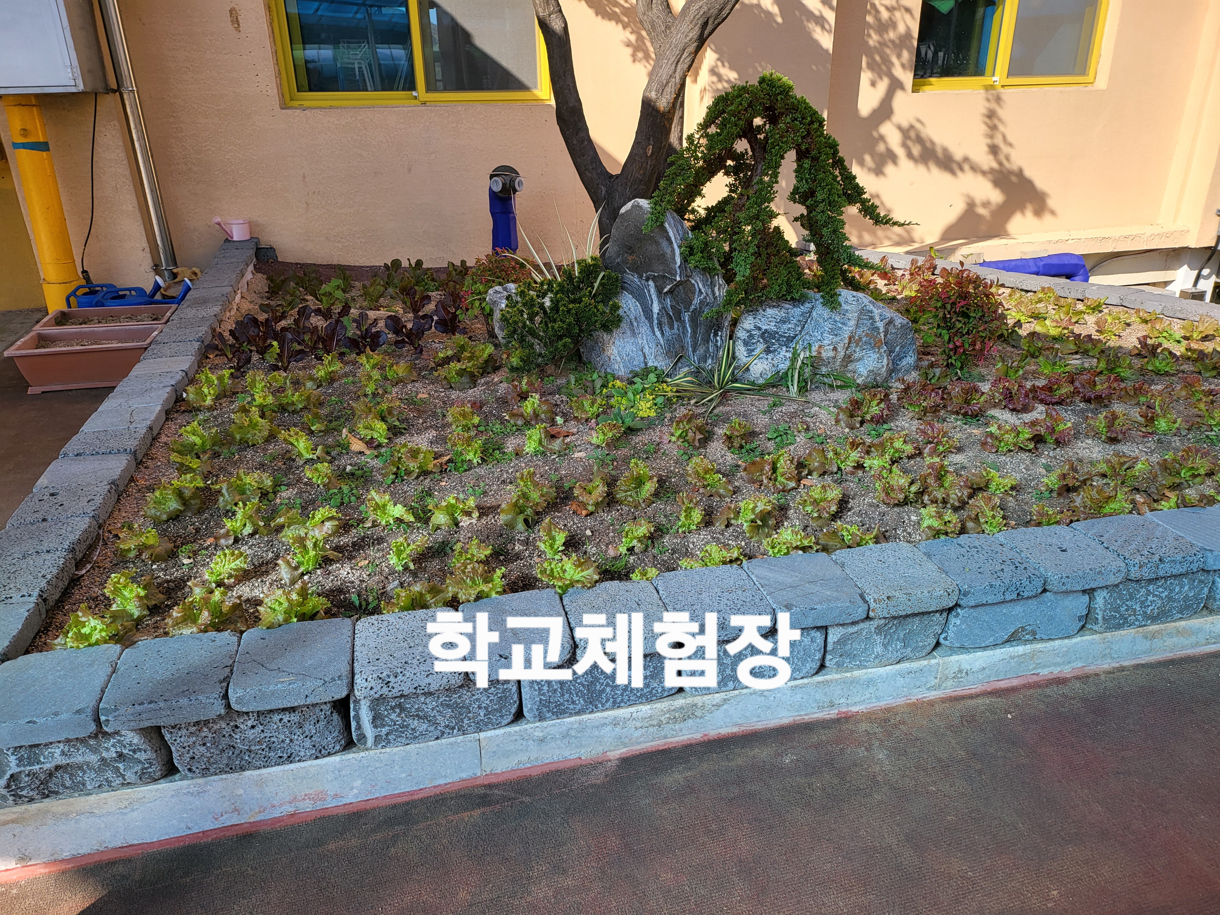 학교 조경 현장